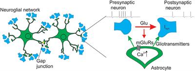 Astrocyte as Spatiotemporal Integrating Detector of Neuronal Activity